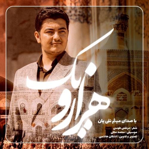 میثم نقی یان هزارویک